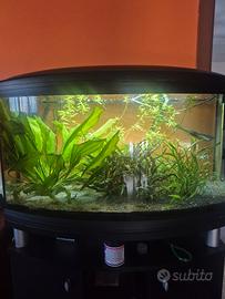 acquario ferplast 150l