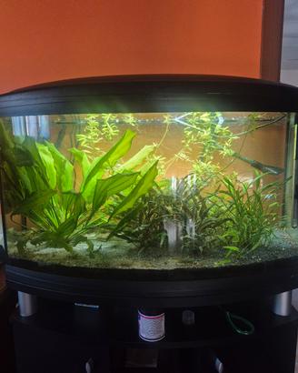 acquario ferplast 150l