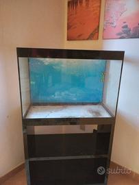 Acquario  askol