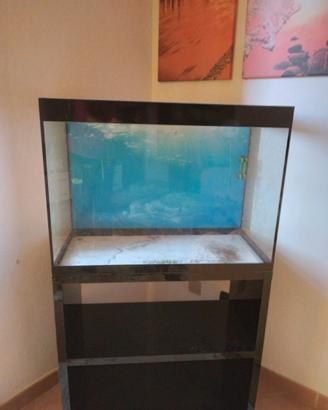 Acquario  askol