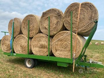 Fieno erba medica cavalli pecore mucche vacche