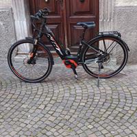 bicicletta ebike