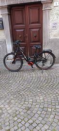 bicicletta ebike