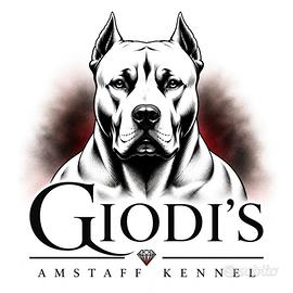 Amstaff