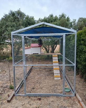 voliera per galline
