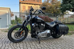 Harley-Davidson Street Bob 117 MY 2025