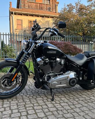 Harley-Davidson Street Bob 117 MY 2025