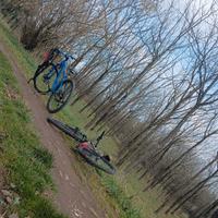 bici vicini mtb blu 