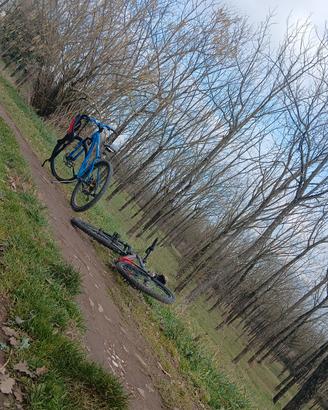 bici vicini mtb blu 