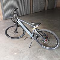 Vedo bici elettriche