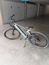Vedo bici elettriche