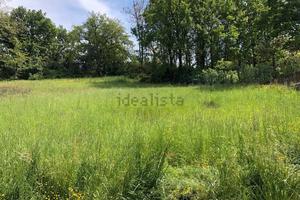 Albinea terreno residenzial urbanizzato mq 1.800