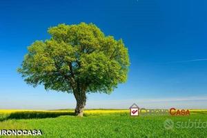 Terreno agricolo a Piano Torre