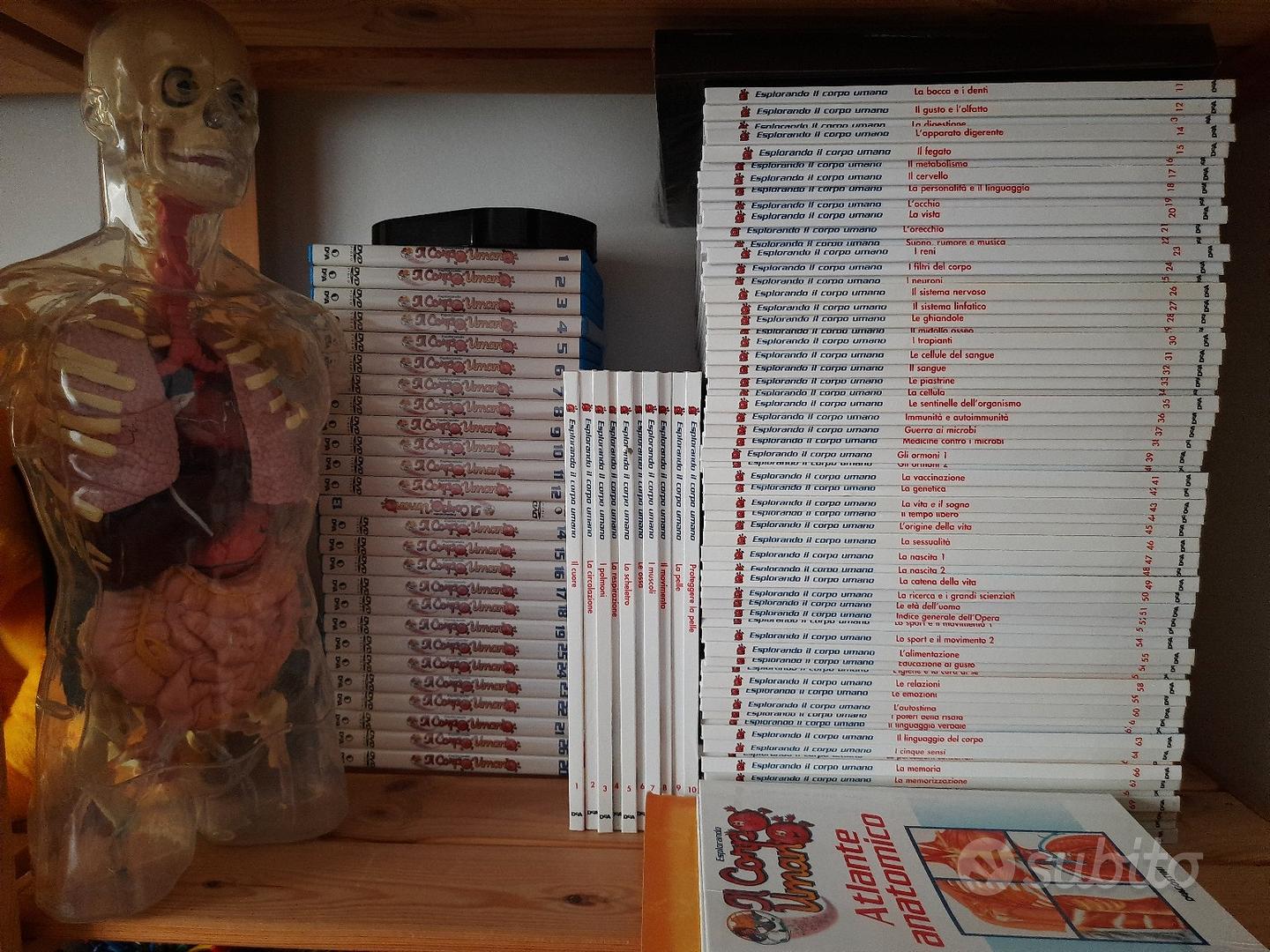 Esplorando il corpo umano completo di