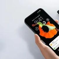 SSD esterno 256gb USB-C 3 Apple iPhone ProRes iOS