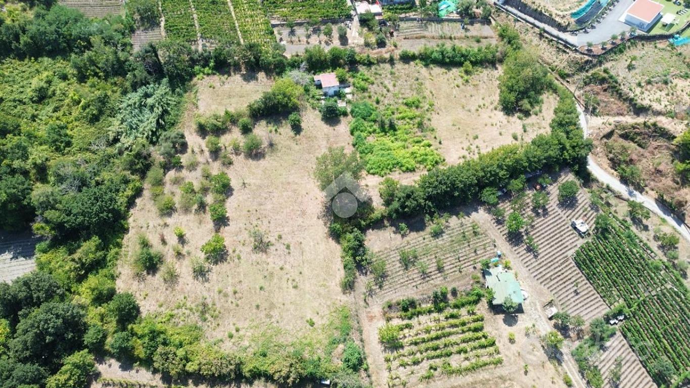 TERRENO A POLLENA TROCCHIA - Vista 5