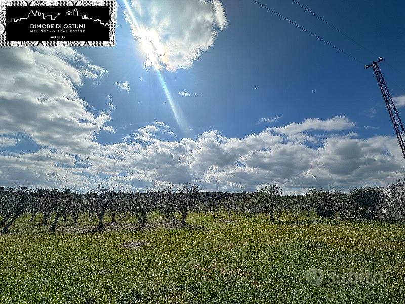ULIVETO 4200mq in VALLE D'ITRIA - POSSIBILITA' ED - Vista 3