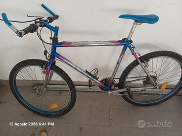 bicicletta montan bike