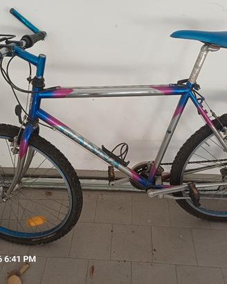 bicicletta montan bike