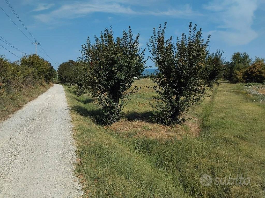 Terreno agricolo indicatore - Vista 3