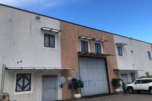 Immobile di 1050 m² a Pastorano