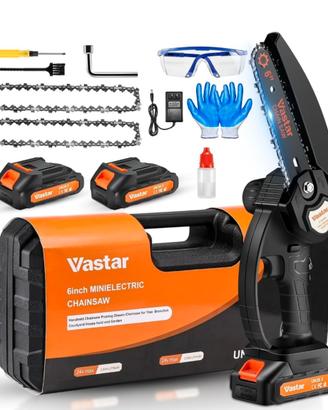 Motosega a batterie Nuova mai usata completa 