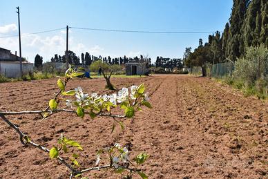 Terreno con pozzo e magazzino
