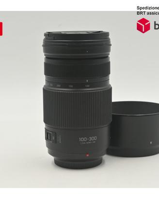 Panasonic Lumix G 100-300 F4-5.6 II OIS (Panasonic
