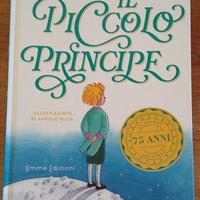 Il Piccolo Principe 
