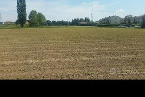 Terreno agricolo