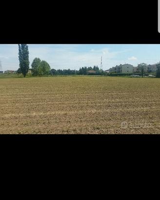 Terreno agricolo