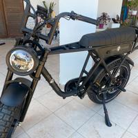 Bici elettrica Ape ryder