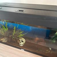 Juwel rio 125 con neon no led