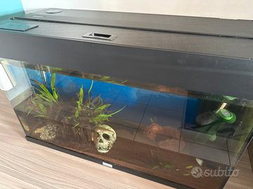 Juwel rio 125 con neon no led