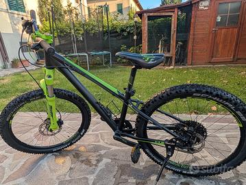 MTB Cube 240 SL monocorona