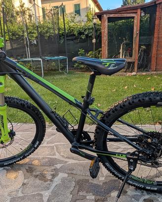 MTB Cube 240 SL monocorona