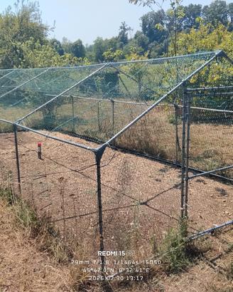Pollaio / Recinto zincato 8×3 m completo di rete