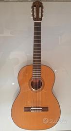 Chitarra Clarissa P-30