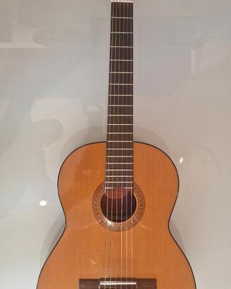 Chitarra Clarissa P-30