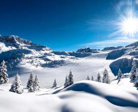 Vacanze Dolo-mitiche in VAL DI FIEMME