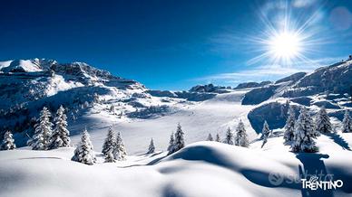 Vacanze Dolo-mitiche in VAL DI FIEMME