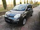 fiat-panda-1-2-lounge-neop-solo-65-000km
