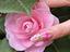 Immagine 11