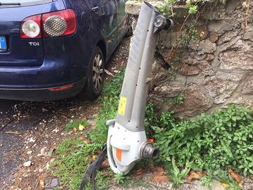 Soffione e aspiratore per foglie