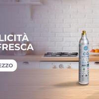 GASATORE ACQUA COMPRESA BOMBOLA DA 450 GRAMMI C02