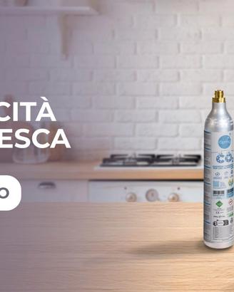 GASATORE ACQUA COMPRESA BOMBOLA DA 450 GRAMMI C02