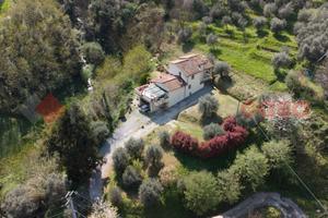 Villa singola Villa Basilica [UL118MGFRVRG]