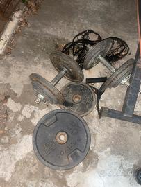 Manubri e dichi ghisa palestra