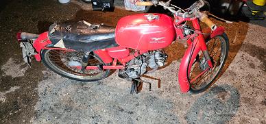 moto guzzi cardellino 73