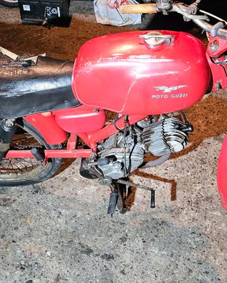 moto guzzi cardellino 73